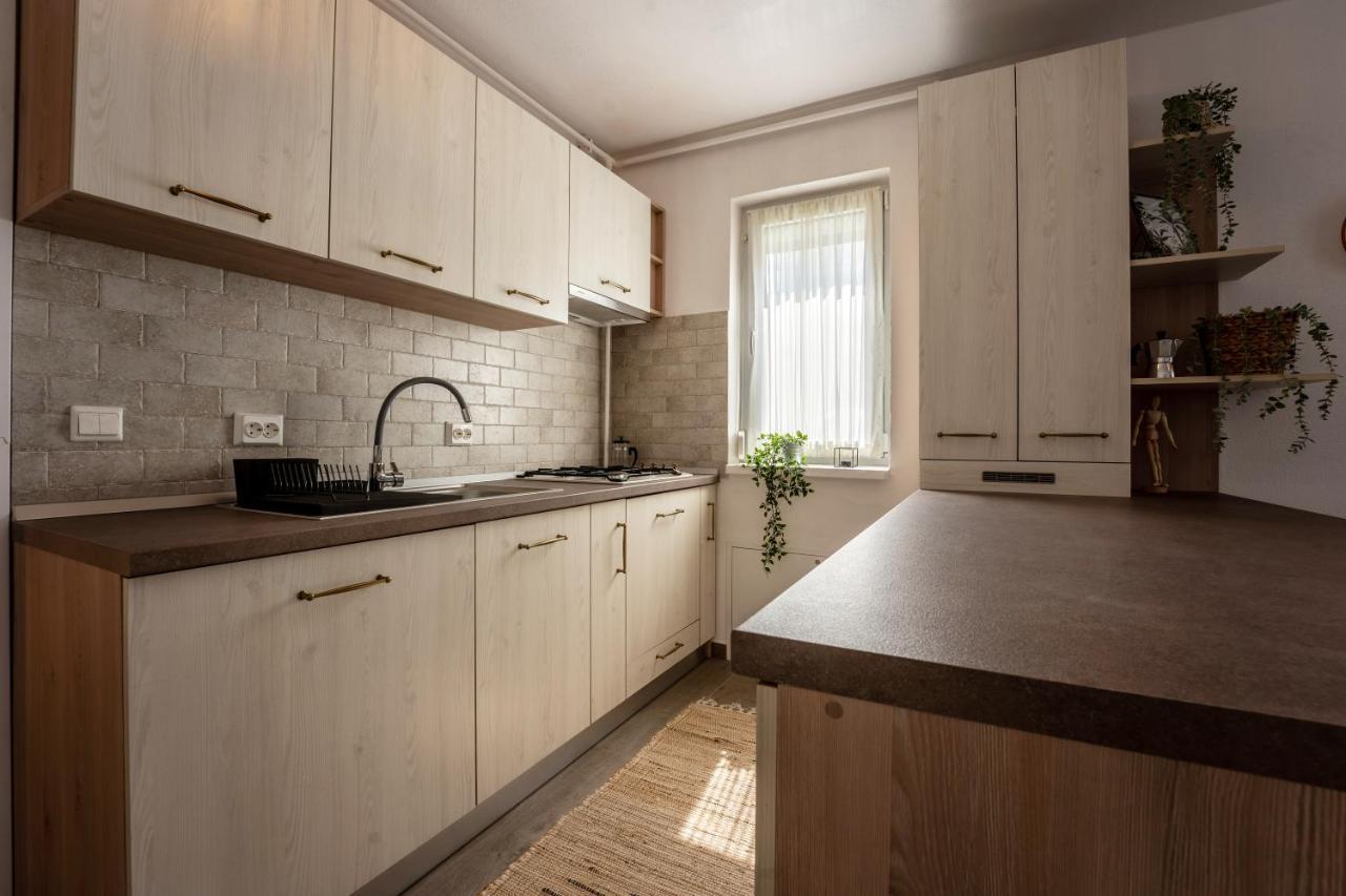 Daisy Apartment1 Sighișoara Zewnętrze zdjęcie
